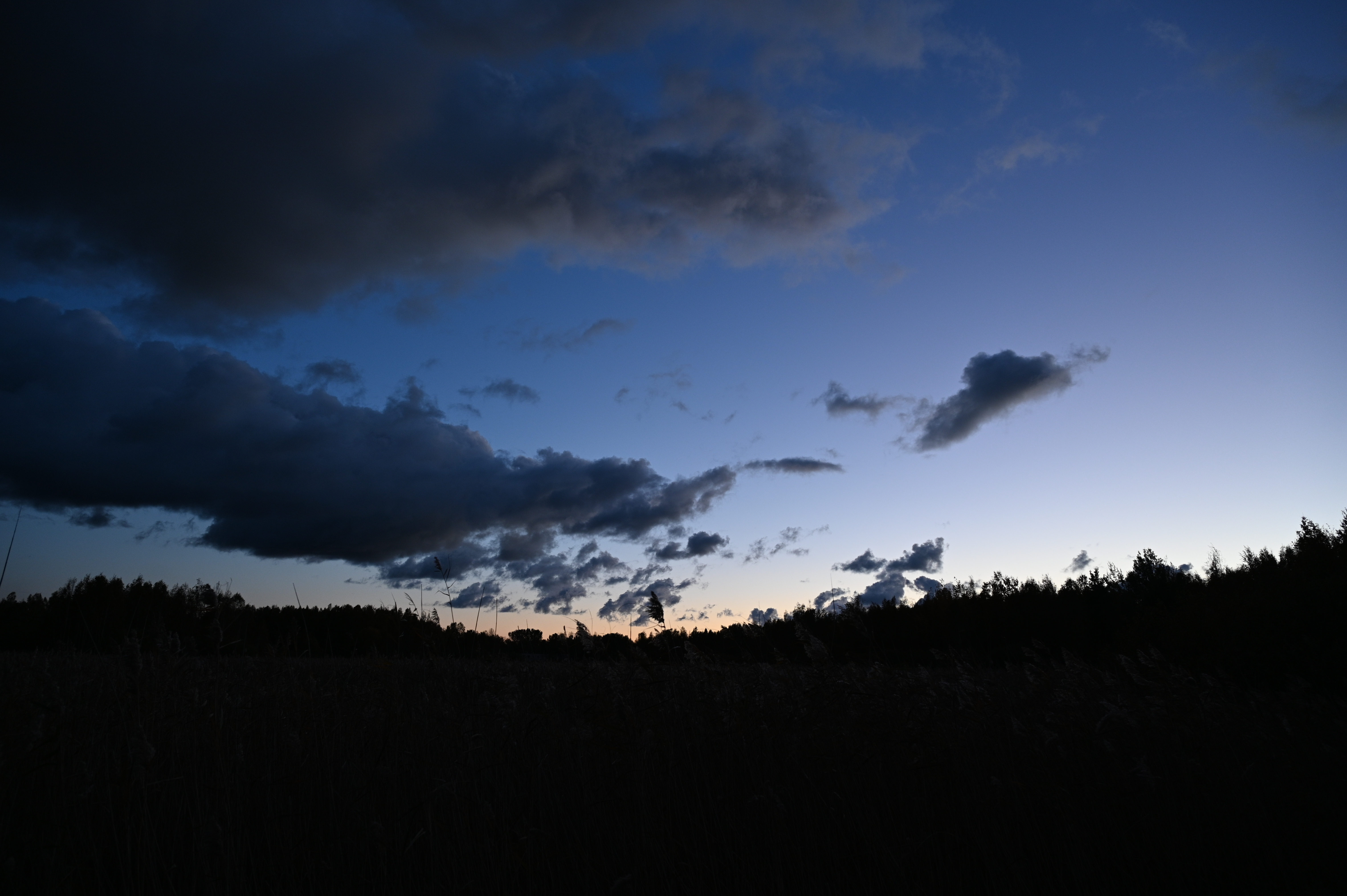 2025/10/18 - walk/DSC_0613.JPG